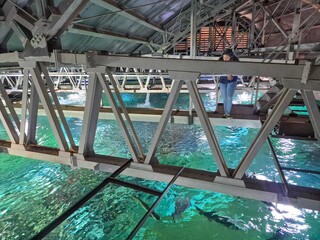 Presidente da Cop-15 elogia Bioparque por excel&ecirc;ncia t&eacute;cnica e educativa