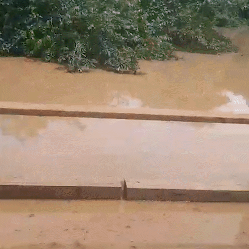 Ponte em Rio Negro fica submersa ap&oacute;s chuvas intensas