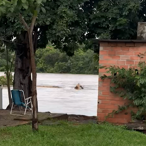 Imasul emite alerta para cheias nos rios Taquari e Aquidauana