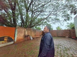 Ing&aacute; ca&iacute;do bloqueia casas e figueira &eacute; nova amea&ccedil;a no Jardim das Cerejeiras