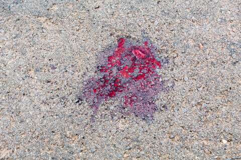 Motoentregador morre ao cair na pista e ser atropelado por caminh&atilde;o