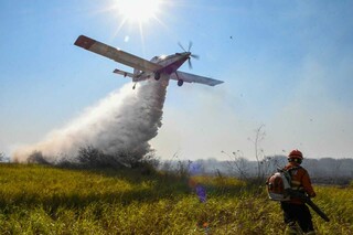 Fen&ocirc;meno clim&aacute;tico pode aumentar risco de inc&ecirc;ndios no Pantanal neste ano
