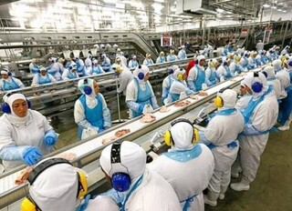 Ind&uacute;stria e isen&ccedil;&atilde;o do IR devem salvar PIB de MS em ano de freio no agroneg&oacute;cio