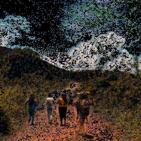 "Tatu de ouro joga pedra em quem passa por ponte antiga de Furnas"