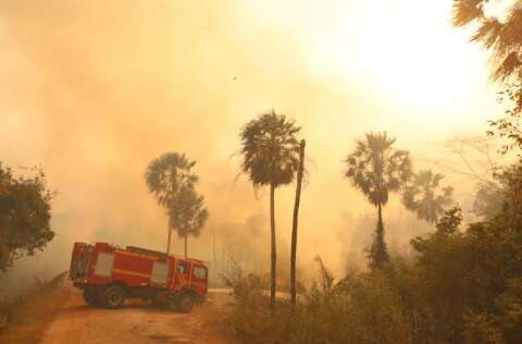 Fen&ocirc;meno clim&aacute;tico pode aumentar risco de inc&ecirc;ndios no Pantanal neste ano