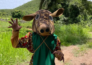 Tatu de ouro joga pedra em quem passa por ponte antiga de Furnas Tatu de ouro joga pedra em quem passa por ponte antiga de Furnas