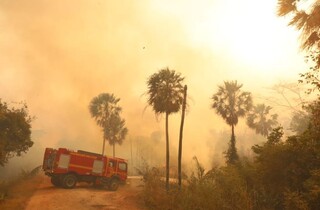 Fen&ocirc;meno clim&aacute;tico pode aumentar risco de inc&ecirc;ndios no Pantanal neste ano