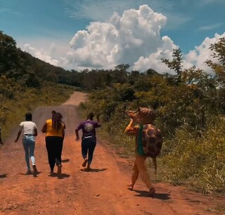 Tatu de ouro joga pedra em quem passa por ponte antiga de Furnas Tatu de ouro joga pedra em quem passa por ponte antiga de Furnas