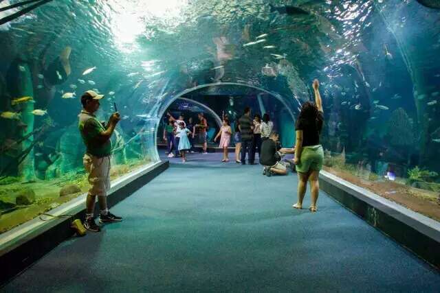 Bioparque Pantanal ter&aacute; R$ 10,5 milh&otilde;es em contratos de manuten&ccedil;&atilde;o e opera&ccedil;&atilde;o