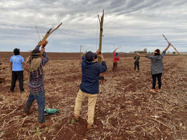 Governo cria comit&ecirc; para acompanhar uso de agrot&oacute;xico em terras ind&iacute;genas