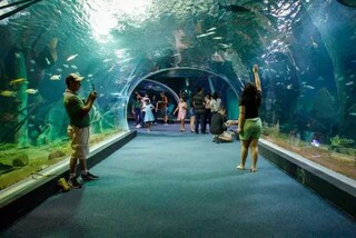 Bioparque Pantanal ter&aacute; R$ 10,5 milh&otilde;es em contratos de manuten&ccedil;&atilde;o e opera&ccedil;&atilde;o