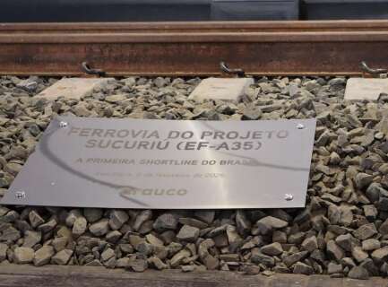 Ramal ferrovi&aacute;rio &eacute; esperan&ccedil;a para diminuir acidentes nas rodovias da celulose
