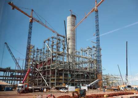 Obra de f&aacute;brica da Arauco chega quase &agrave; metade em &aacute;rea de 3,5 mil hectares