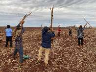 Governo cria comit&ecirc; para acompanhar uso de agrot&oacute;xico em terras ind&iacute;genas