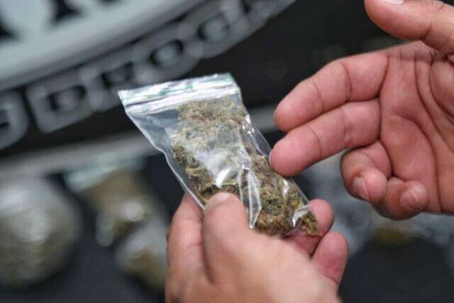 STJ acolhe recurso de MS e limita descriminaliza&ccedil;&atilde;o do porte de maconha