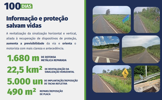 Governo publica contrato da Rota da Celulose, concess&atilde;o bilion&aacute;ria de 870 km