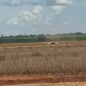 Avi&atilde;o descarrega droga na fronteira, ignora intercepta&ccedil;&atilde;o a&eacute;rea e foge