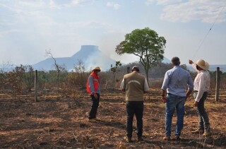 Cerrado perde cada vez mais vegeta&ccedil;&atilde;o em MS e p&otilde;e em risco o futuro do Pantanal