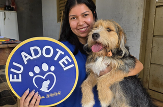 C&atilde;es resgatados de maus-tratos aguardam novo lar em a&ccedil;&atilde;o de ado&ccedil;&atilde;o