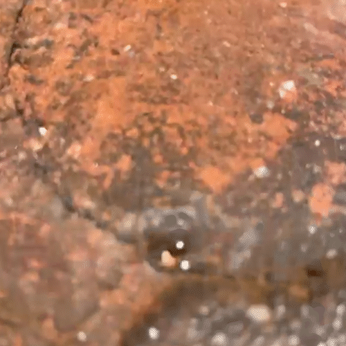 Vazamento de &aacute;gua "limpa" no meio do asfalto causa buracos no S&atilde;o Louren&ccedil;o