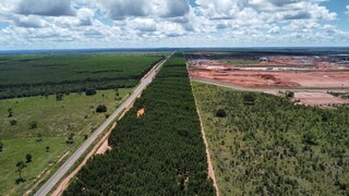 Mais 2 rodovias do Vale da Celulose v&atilde;o a leil&atilde;o este ano, garante Riedel