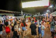 Bloquinhos de carnaval e ensaio de escola de samba interditam vias neste domingo