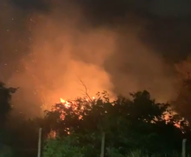 Fogos de artif&iacute;cio provocam inc&ecirc;ndio em &aacute;rea de mata no Coophar&aacute;dio