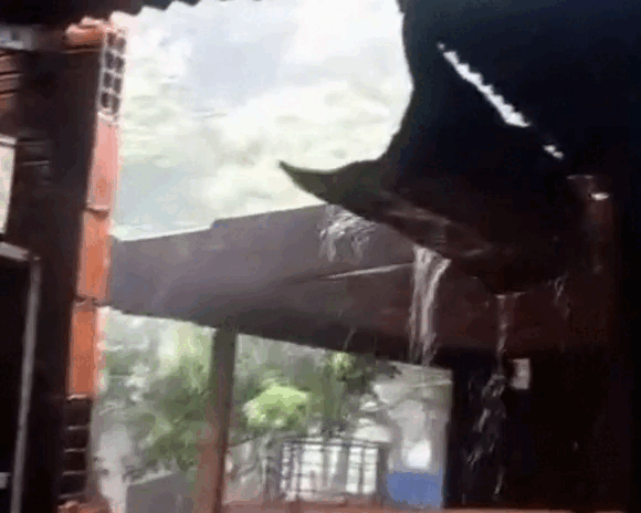 Tempestade derruba &aacute;rvores e destelha abrigo de ovelhas em distrito da fronteira