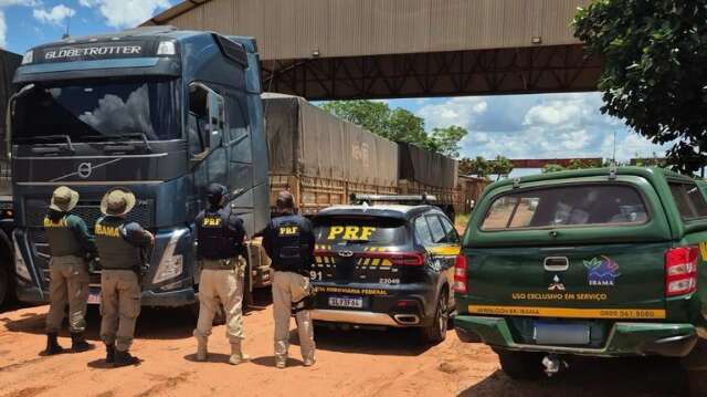 Madeira extra&iacute;da ilegalmente do Par&aacute; &eacute; apreendida em MS durante fiscaliza&ccedil;&atilde;o