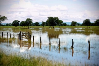 Ap&oacute;s 5 dias do fim dos temporais, &aacute;gua ainda n&atilde;o baixou totalmente em Rio Negro