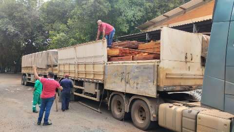 Da floresta ao campus: madeira ilegal vira melhoria p&uacute;blica em MS