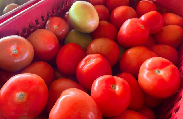 Pre&ccedil;o do tomate puxa alta de 0,97% do custo da cesta b&aacute;sica em Campo Grande