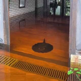 Cheia leva arraia &agrave; &aacute;rea de almo&ccedil;o de pousada no Pantanal de Miranda