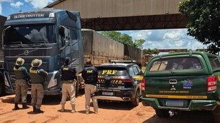 Madeira extra&iacute;da ilegalmente do Par&aacute; &eacute; apreendida em MS durante fiscaliza&ccedil;&atilde;o