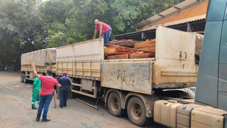 Da floresta ao campus: madeira ilegal vira melhoria p&uacute;blica em MS