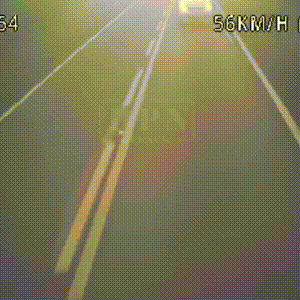 C&acirc;mera registra momento em que motorista morre ao bater em carreta