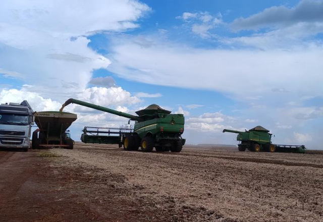 MS registra atraso de 9,3 pontos percentuais na colheita da soja