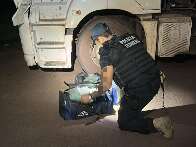 Homem &eacute; preso com coca&iacute;na escondida em carga de min&eacute;rio