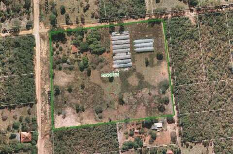 Ocupantes de &aacute;rea p&uacute;blica garantem manuten&ccedil;&atilde;o de regulariza&ccedil;&atilde;o fundi&aacute;ria