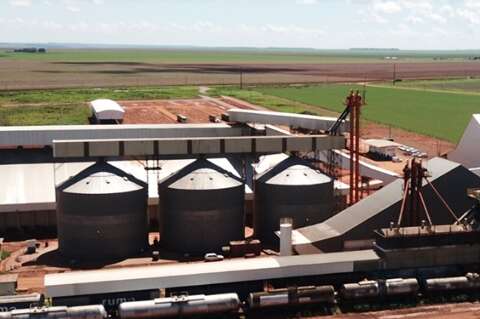 Empresa de MS &eacute; investigada por contaminar solo ap&oacute;s derramamento de &oacute;leo