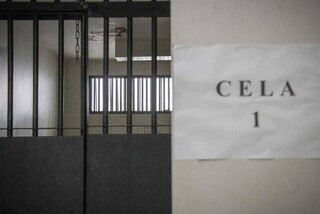 Nigeriano que agrediu policiais e tentou fugir da delegacia &eacute; solto na cust&oacute;dia