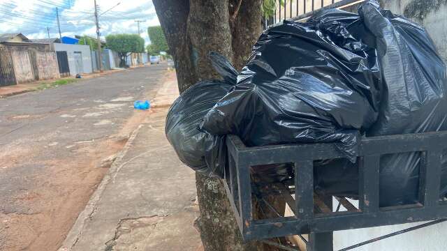 A coleta de lixo tem ocorrido regularmente onde voc&ecirc; mora?