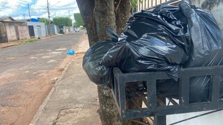 A coleta de lixo tem ocorrido regularmente onde voc&ecirc; mora?