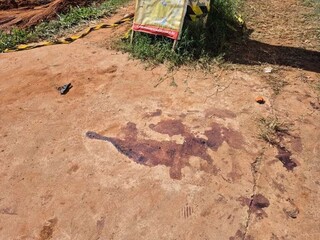 Sobrevivente de atentado no Centro-Oeste responde por homic&iacute;dio em conveni&ecirc;ncia