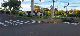 Ve&iacute;culo atravessa canteiro e derruba coqueiro na Joaquim Murtinho