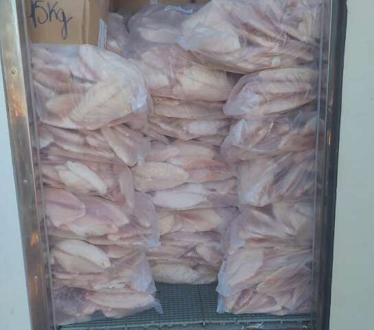 Carga de pescado seguia para MT e empresa paranaense vira alvo da pol&iacute;cia