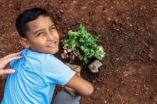 Crian&ccedil;as plantam &aacute;rvores frut&iacute;feras em &aacute;rea marcada por lixo