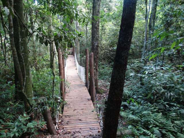 Parque das Matas do Segredo passa a ter limite e regras para visitantes