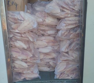 Carga de pescado seguia para MT e empresa paranaense vira alvo da pol&iacute;cia