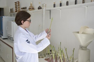 Portaria autoriza bolsas de inicia&ccedil;&atilde;o cient&iacute;fica para alunos de cursos EaD